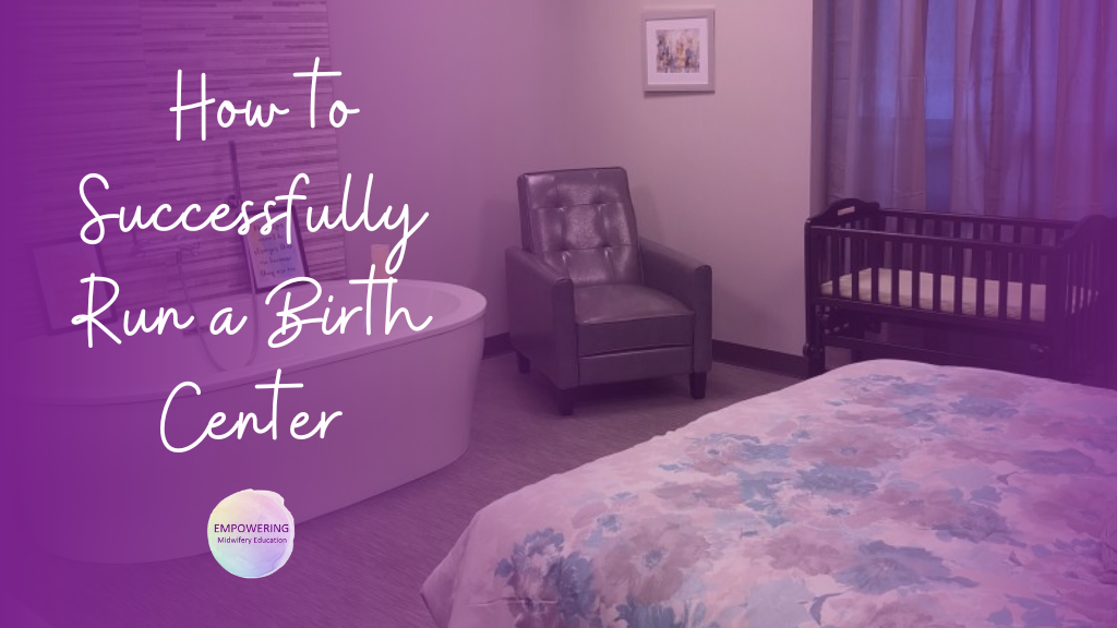 Product image for How to Run a Successful Birth Center