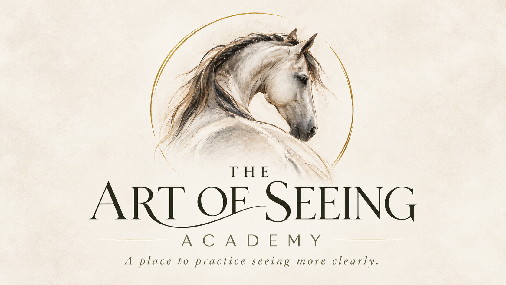 Product image for The Art of Seeing Academy 