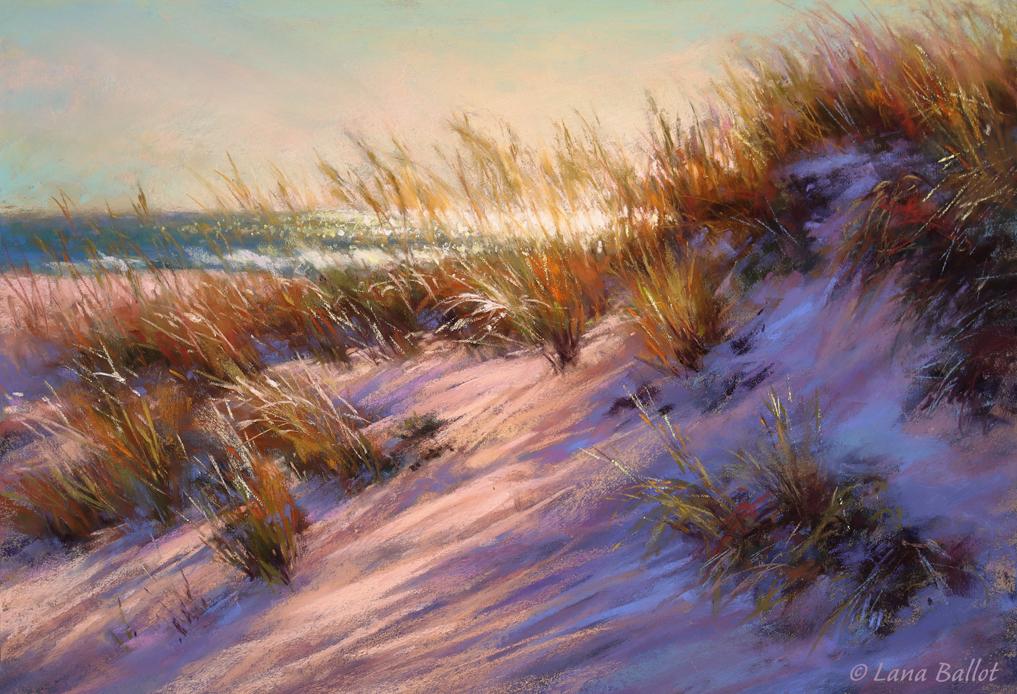 Product image for Zoom May 2026 - Afternoon at the Beach