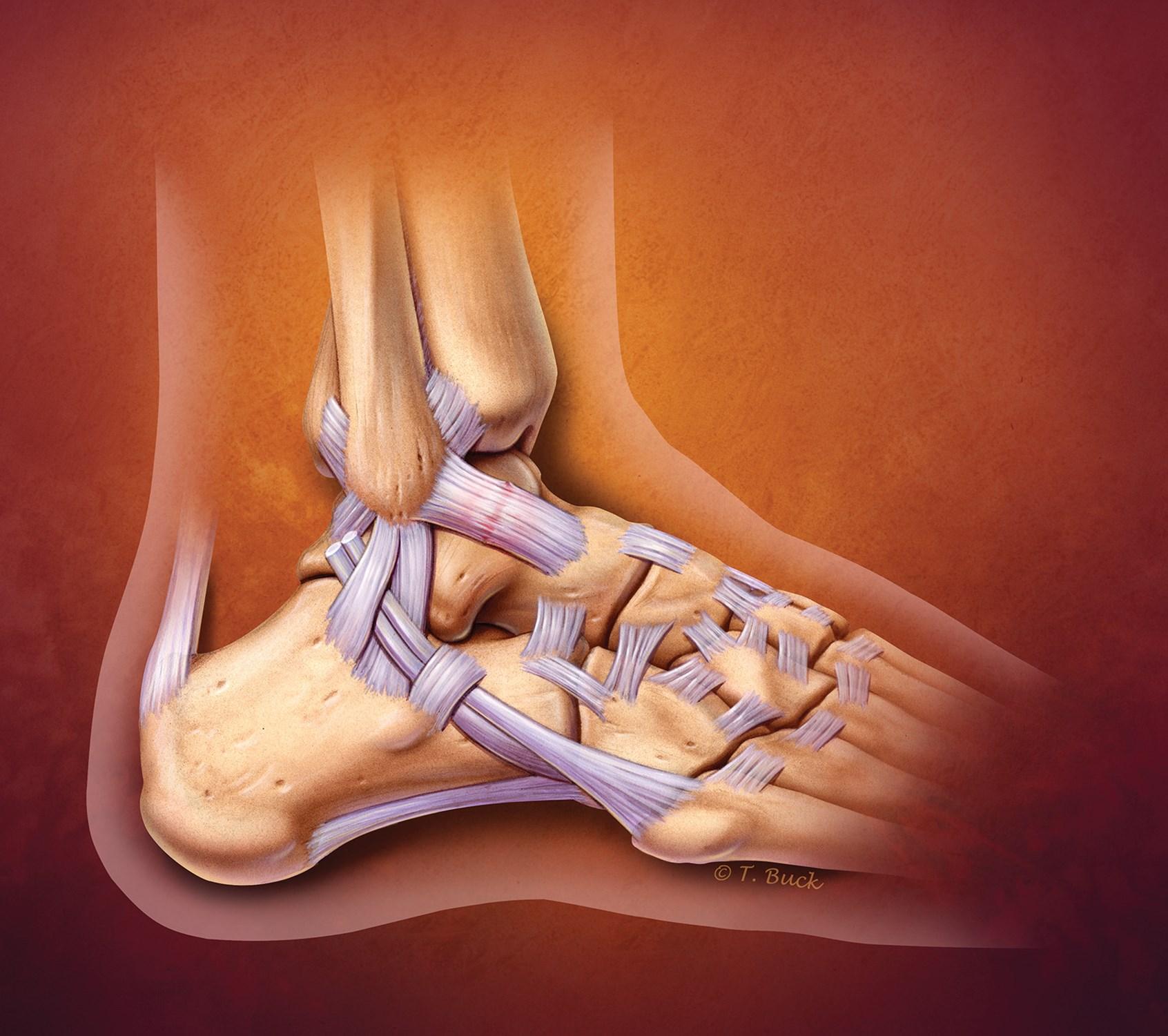 Product image for Ankle Strength Training 