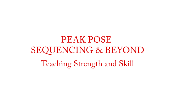 Product image for Peak Pose Sequencing & Beyond: Teaching Strength and Skill