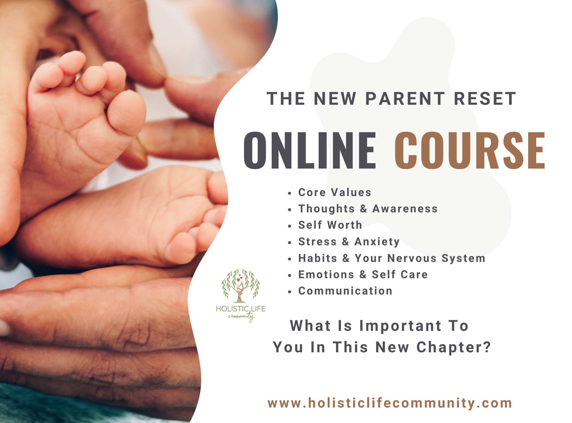 Product image for The New Parent Reset