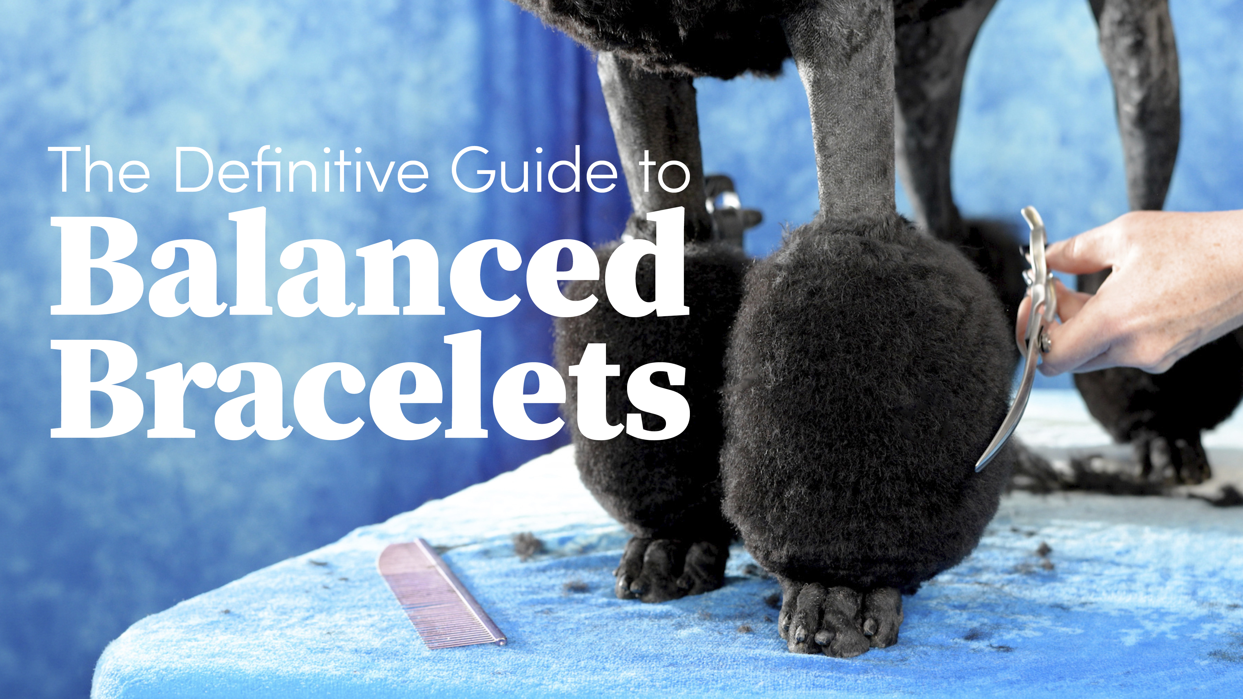 Product image for The Definitive Guide to Balanced Bracelets