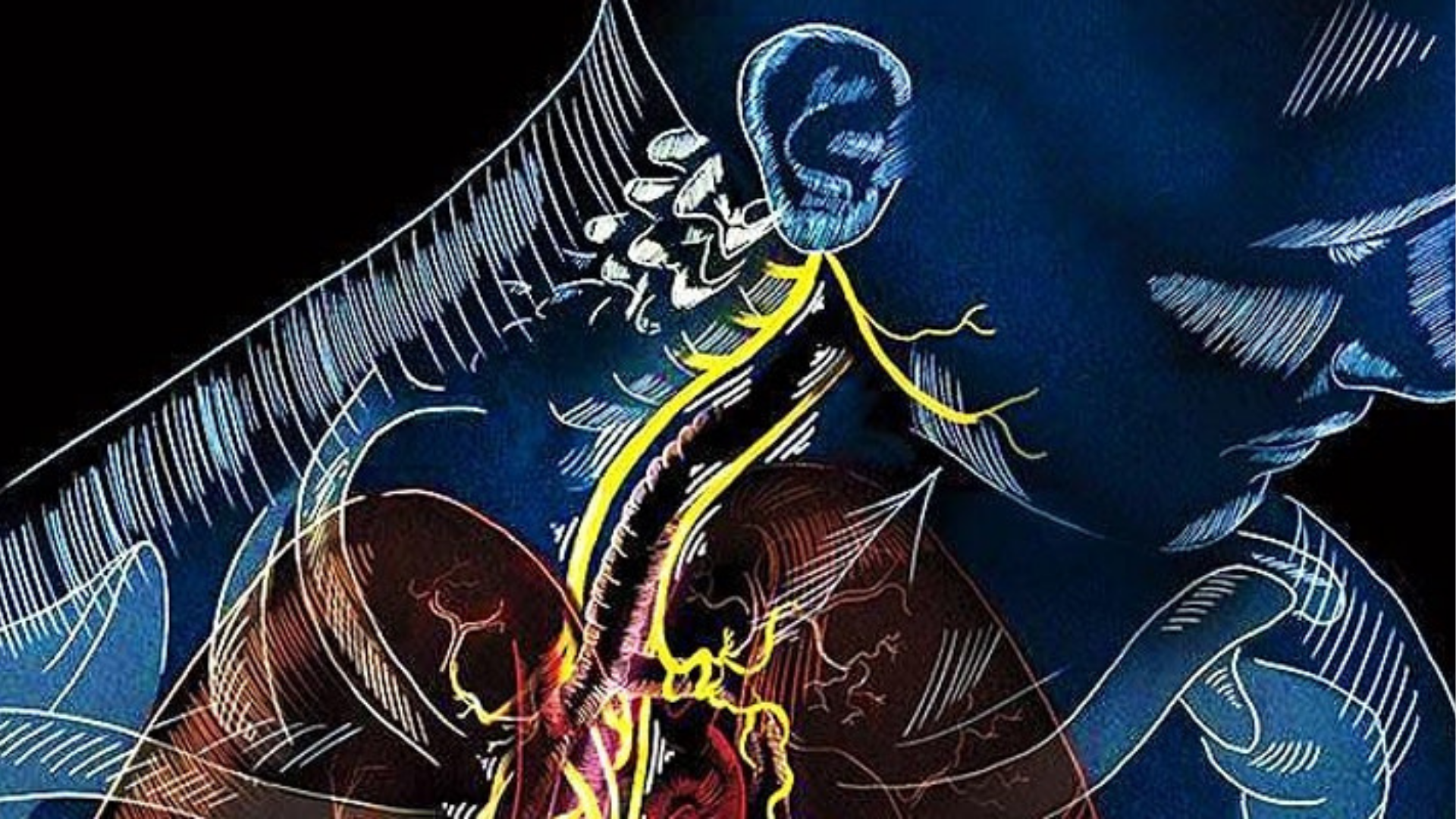 Product image for CranioSacral Therapy and the Vagus Nerve