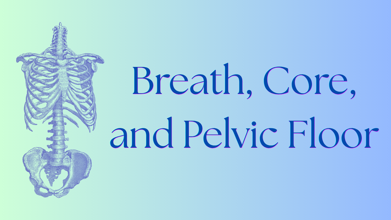 Product image for Breath, Core, and Pelvic Floor