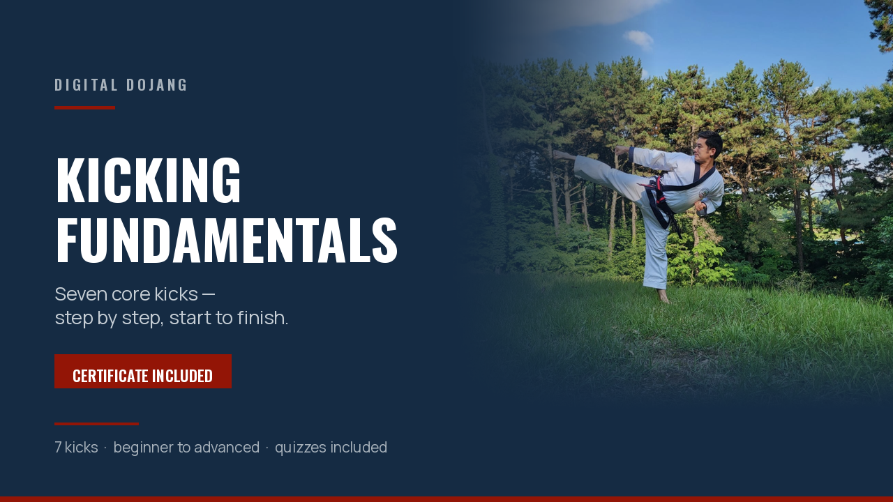 Product image for Kicking Fundamentals — 7 Core Kicks, Step by Step