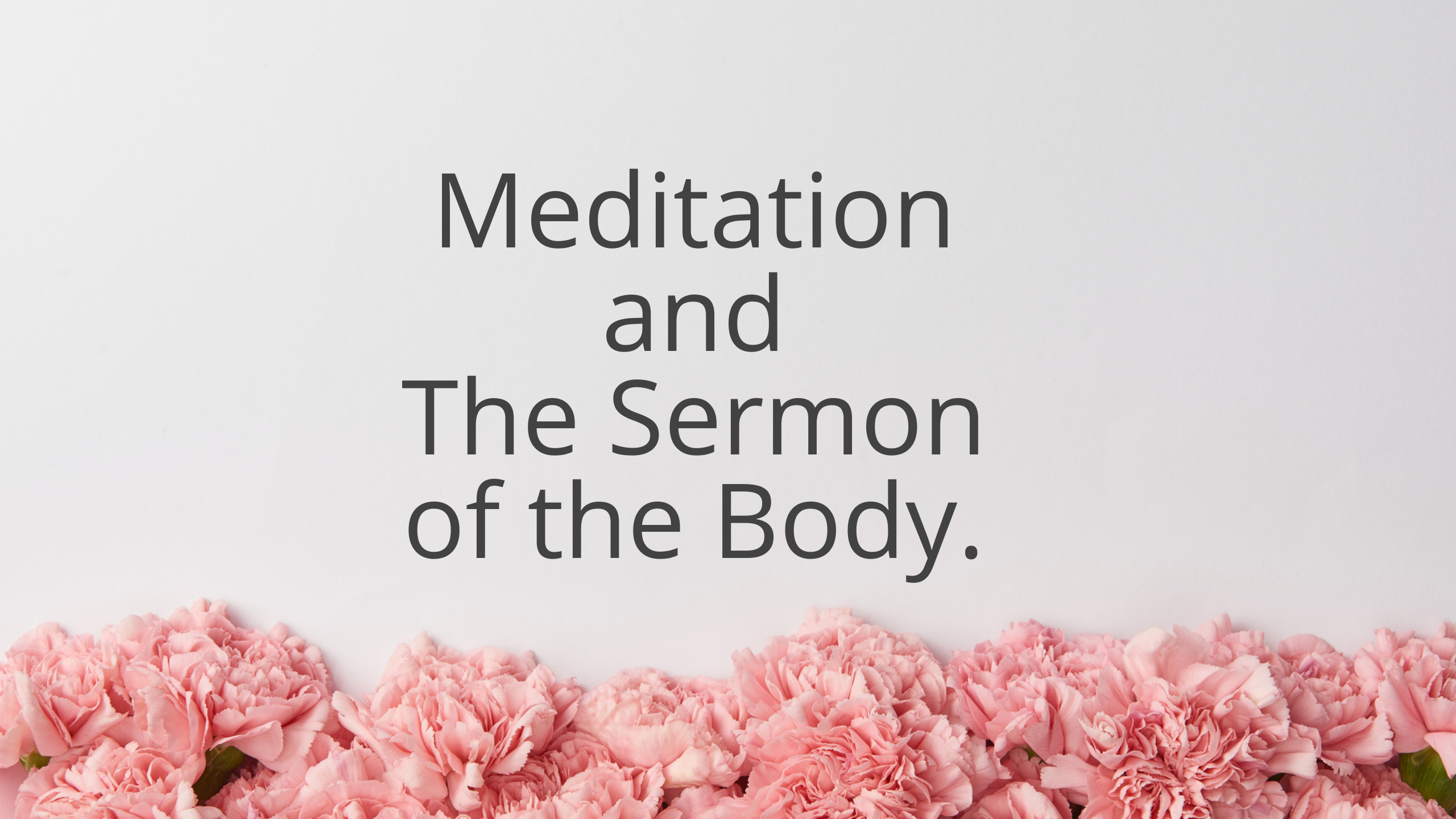 Product image for Meditation and The Sermon of the Body.