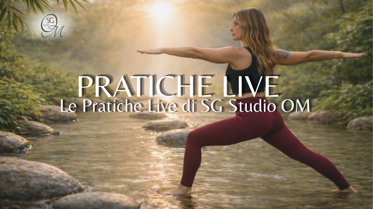 Immagine del prodotto per PRATICHE LIVE  Le Pratiche Live di SG Studio