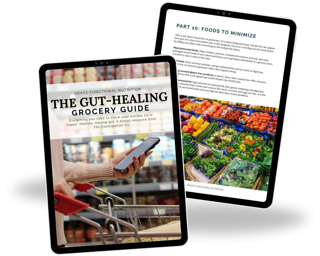 Product image for Gut-Healing Grocery Guide