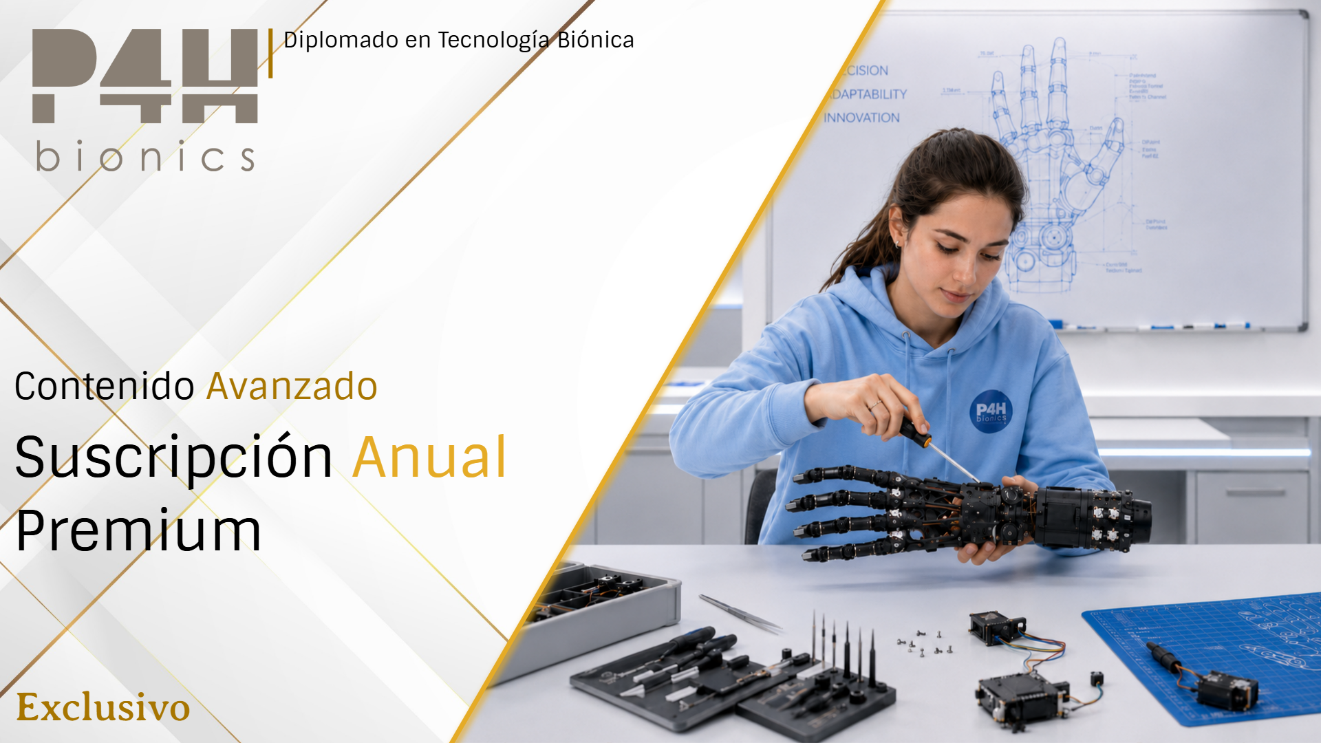 Imagen de producto para Suscripción Anual (Premium)