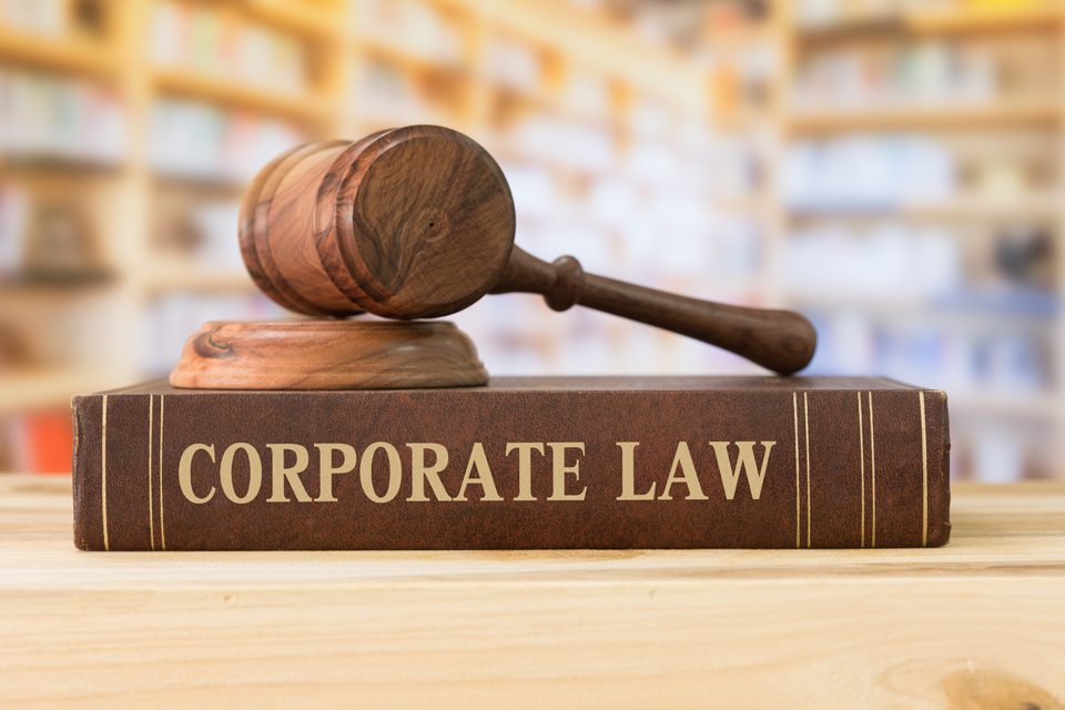 Product image for Company Law