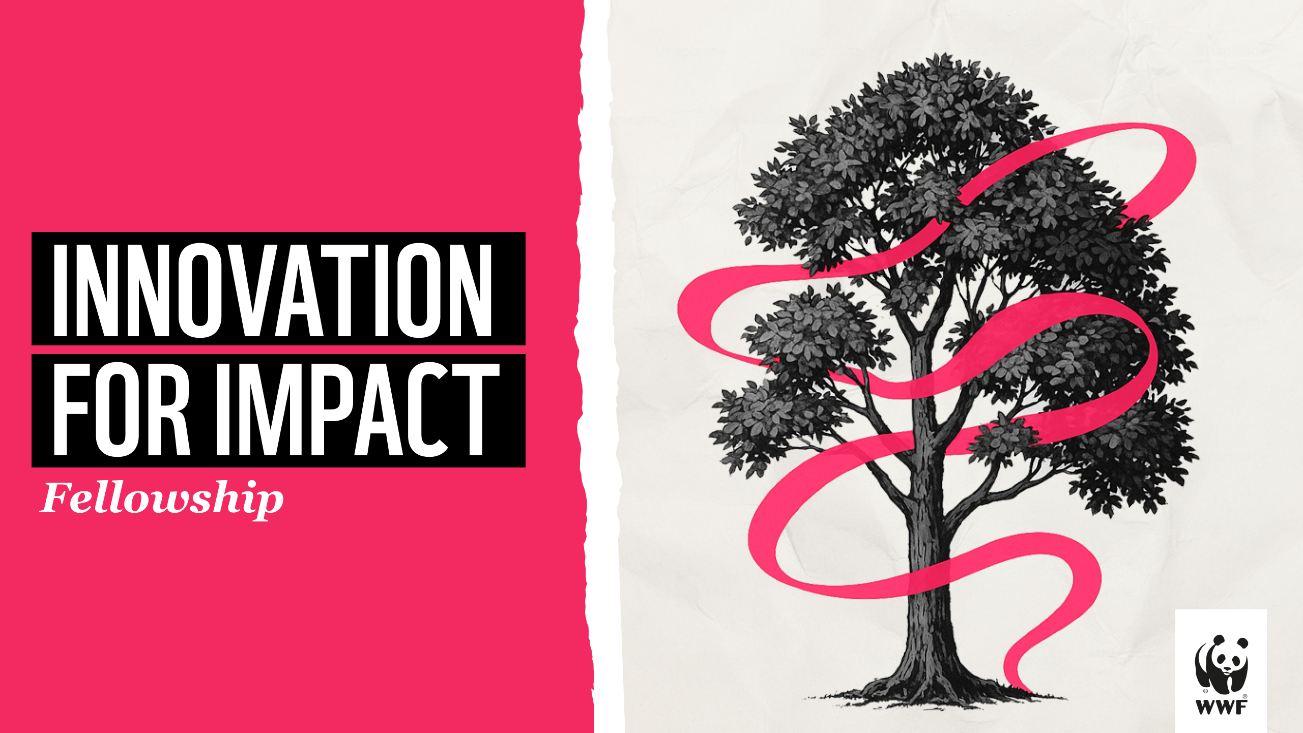 Product image for Innovation for Impact Fellowship - Foundations