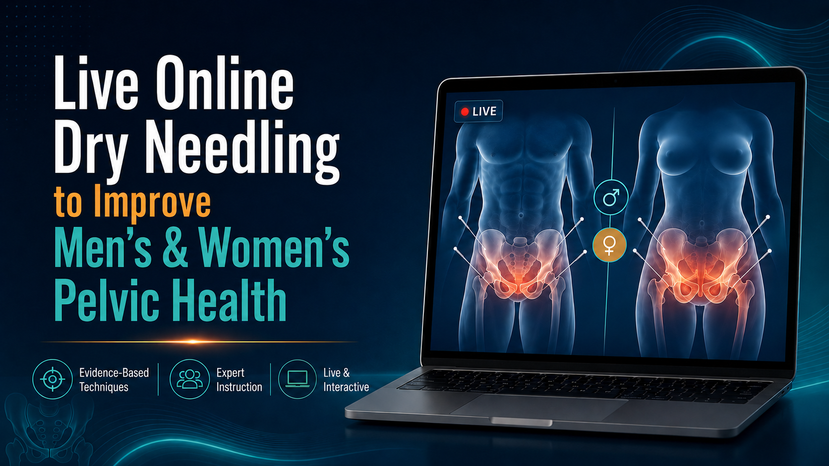 Product image for Live-Online Dry Needling to Improve Men's & Women's Pelvic Health