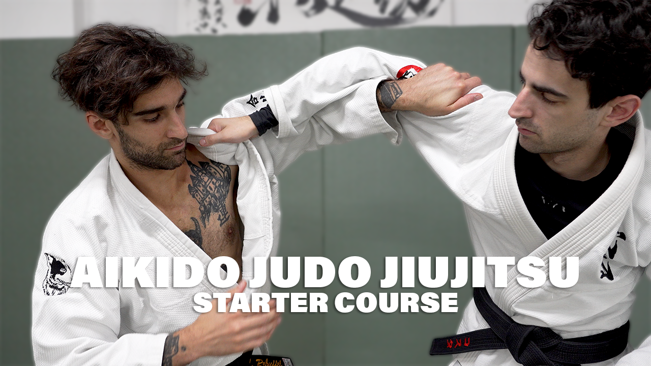 Product image for Intro Course - 8 Aikiluca Lessons.