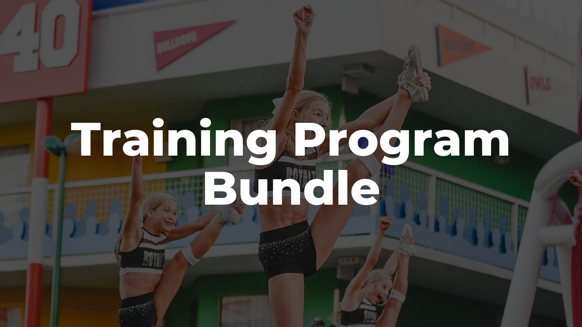 Product image for Training Program Bundle