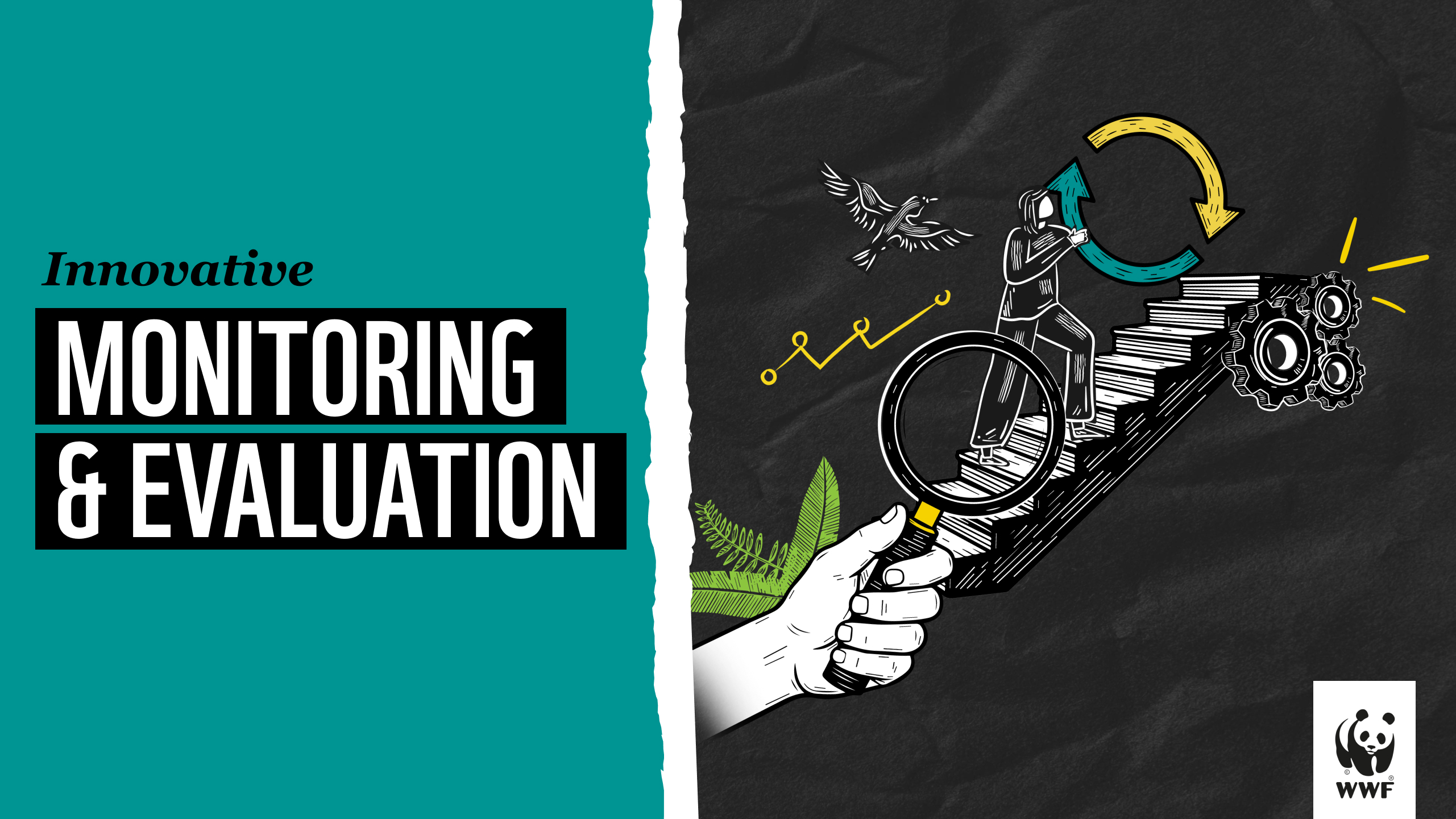 Product image for Innovative Monitoring & Evaluation
