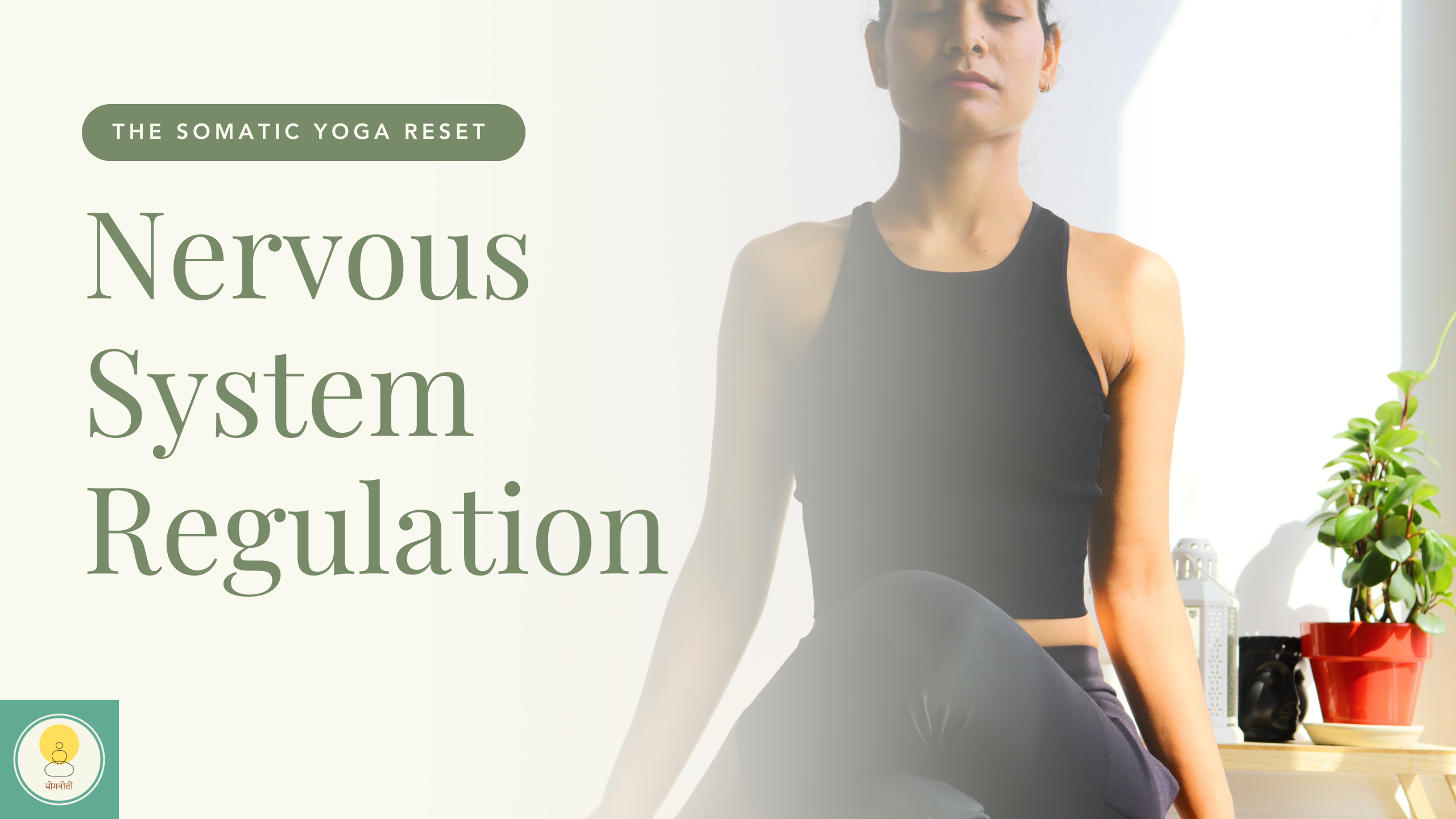 Product image for The Nervous System Regulation Protocol