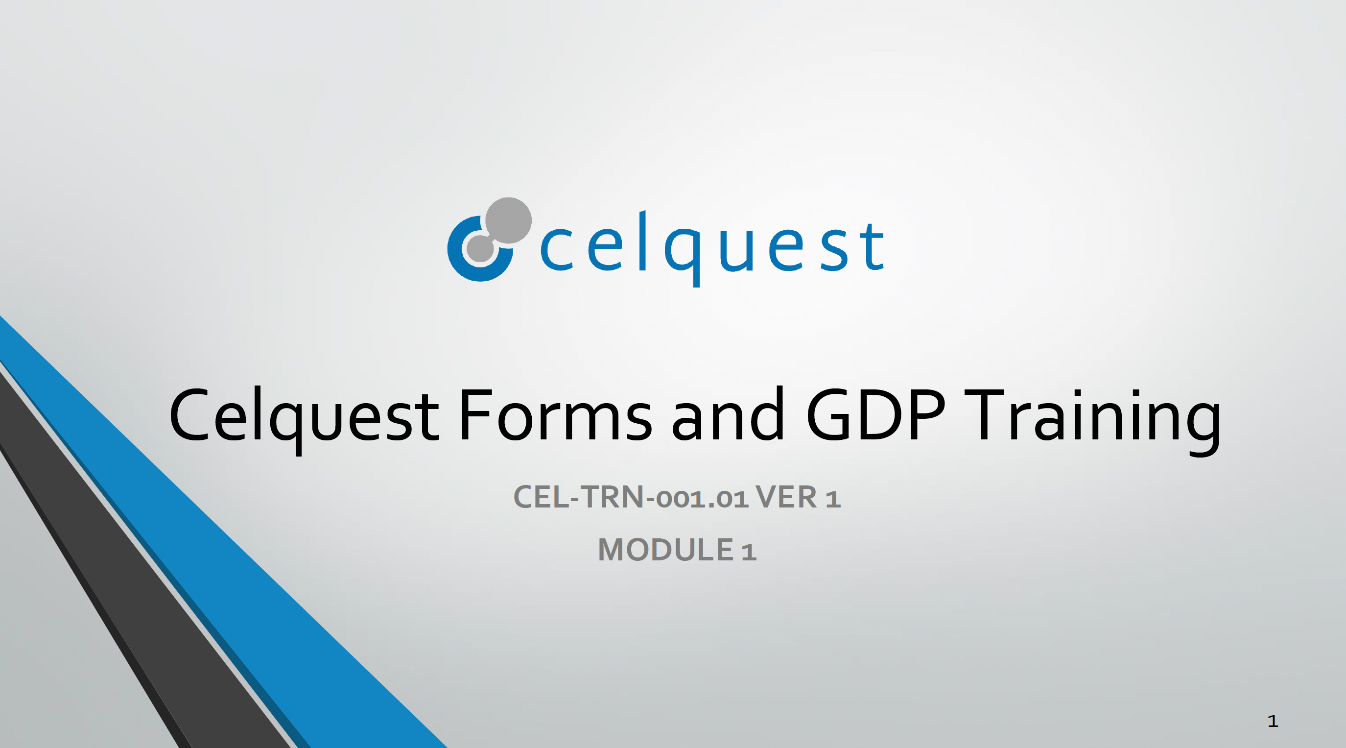 Product image for Module 1 Ver 1- Celquest Forms and GDP Training