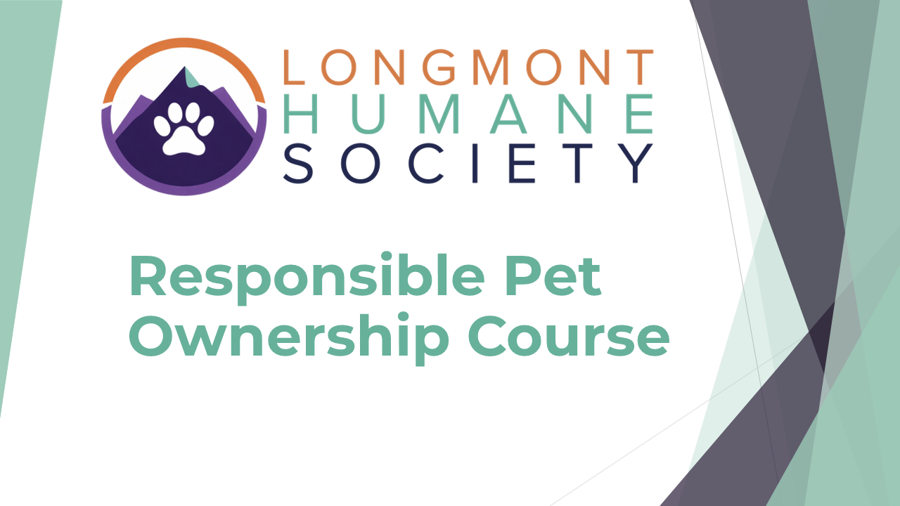 Product image for Responsible Pet Ownership