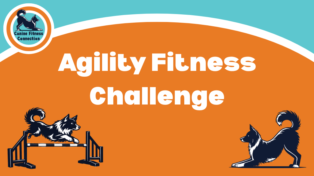 Product image for Agility Fitness Challenge