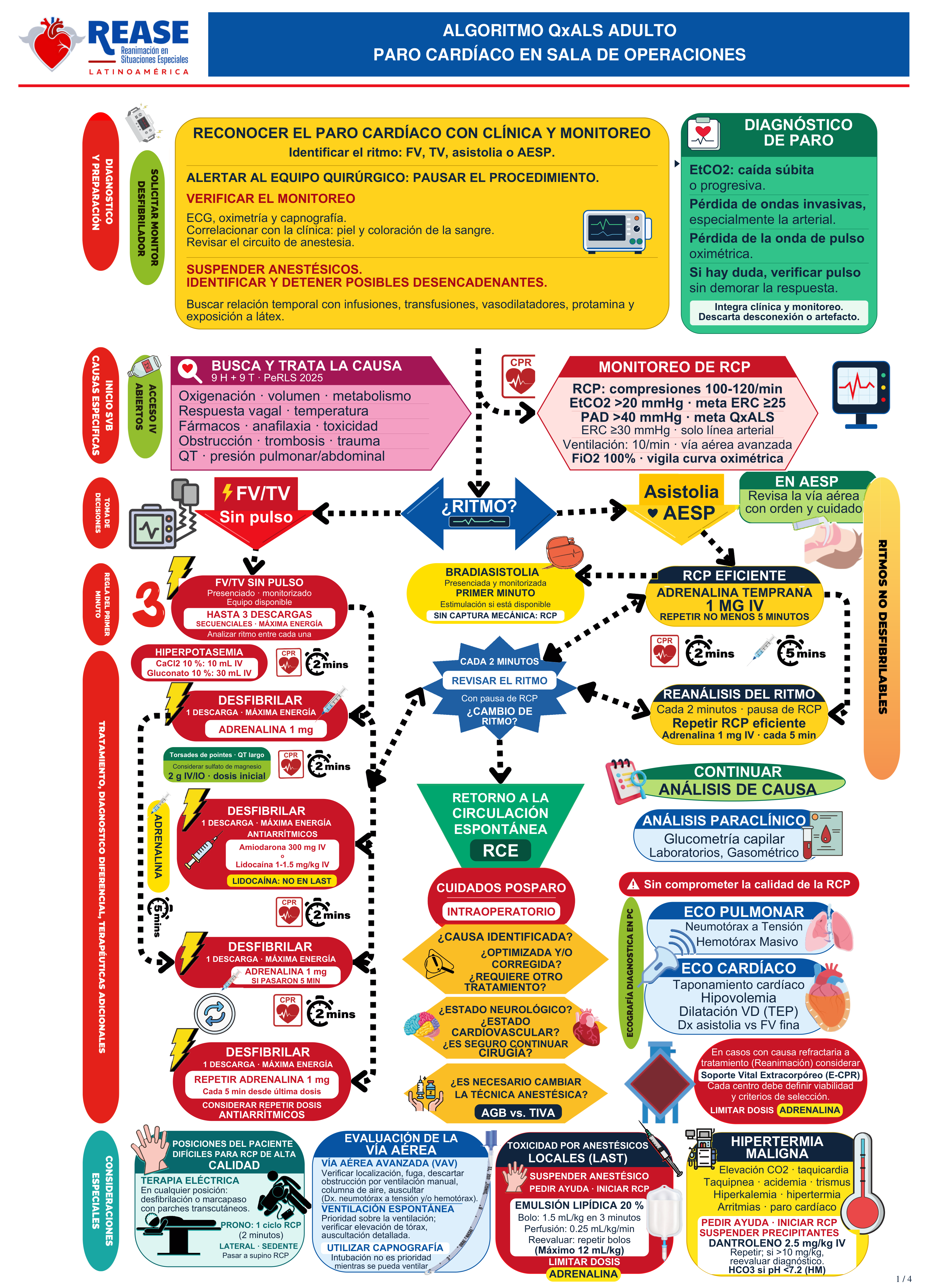 Imagen de producto para Algoritmo de Atención de Paro Cardíaco Intraoperatorio Adulto