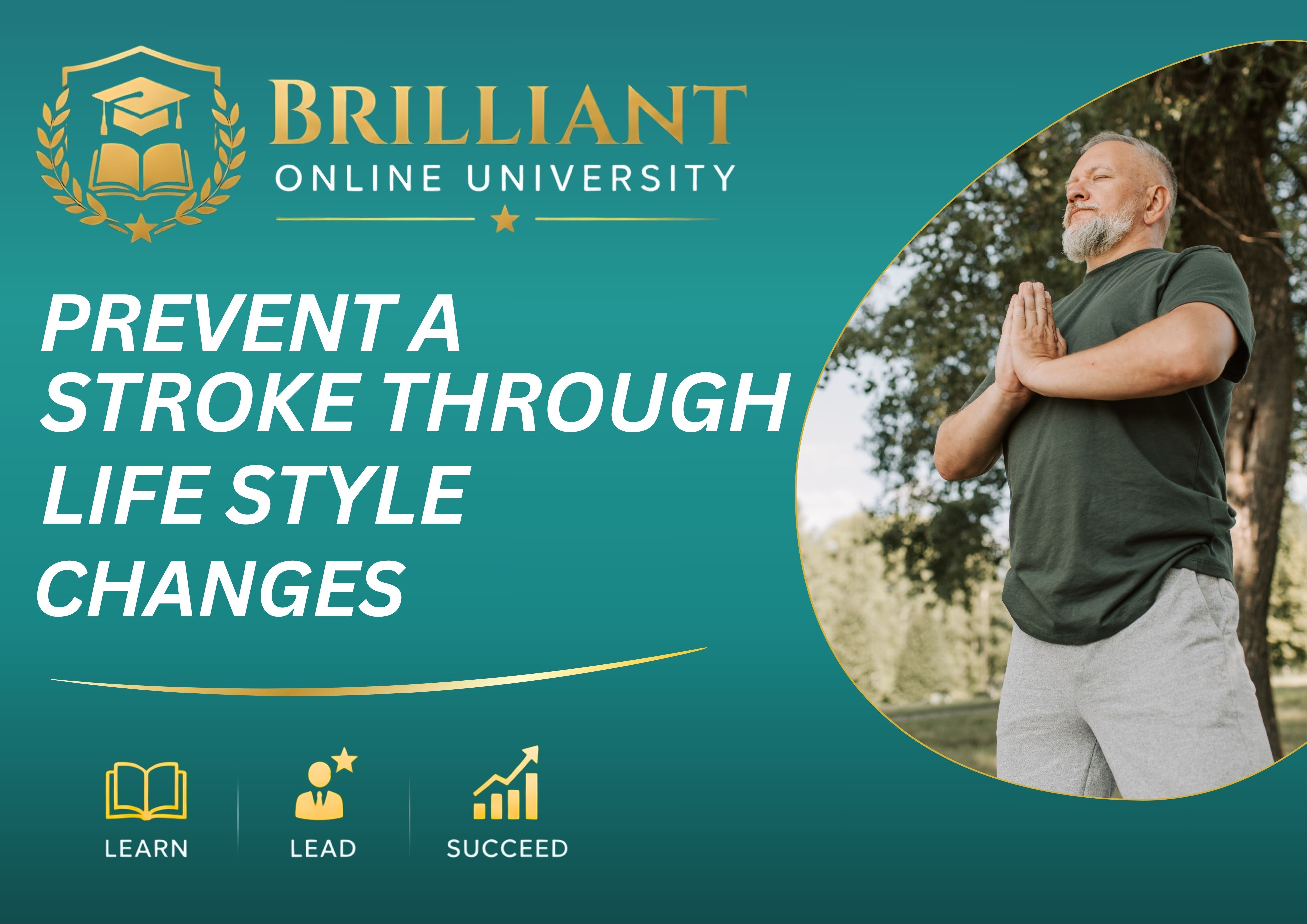 Product image for Prevention a Stroke through Life styles changes