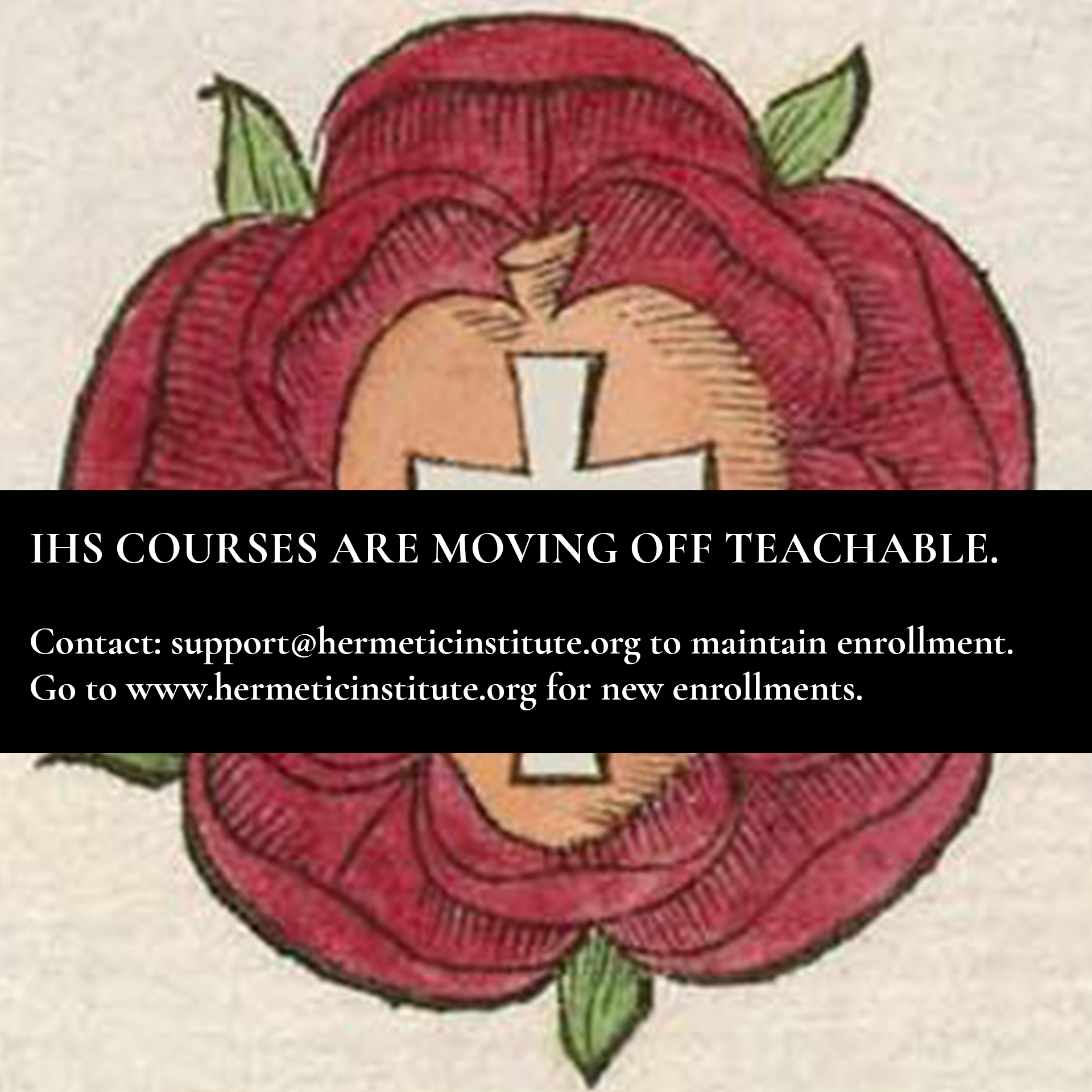 Product image for Unfolding the Rose (Free Course)