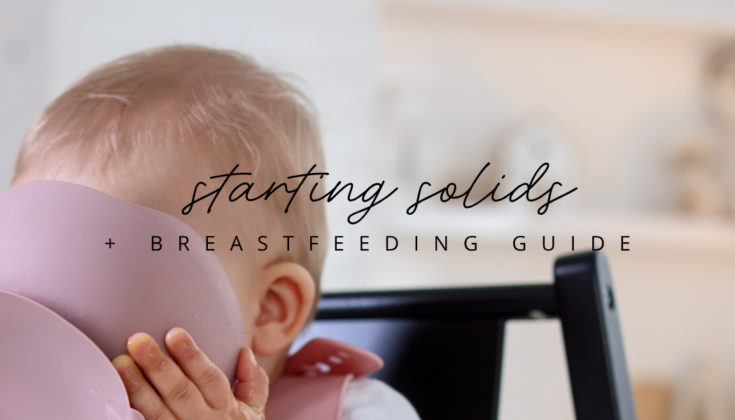 Product image for Starting Solids Guide