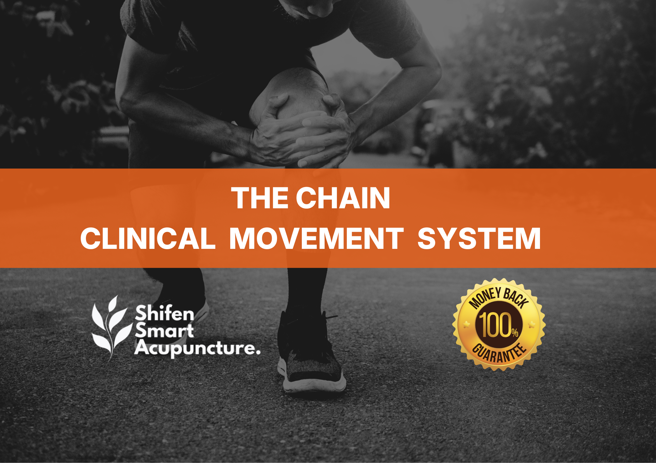 Product image for The Chain — Clinical Movement System