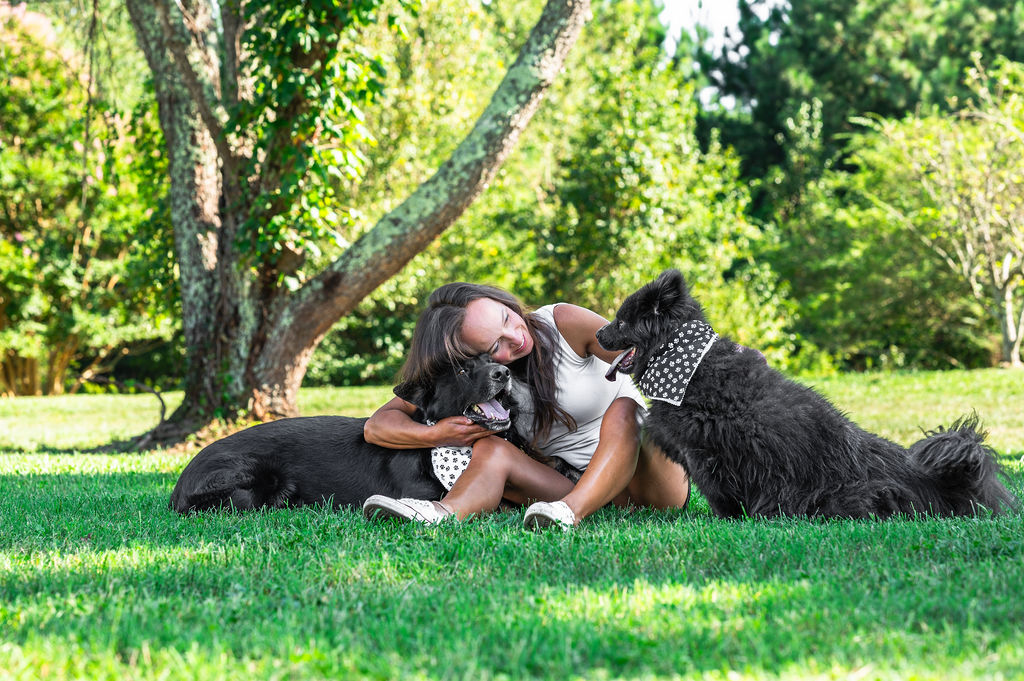 Product image for Dog Boarding Business Blueprint