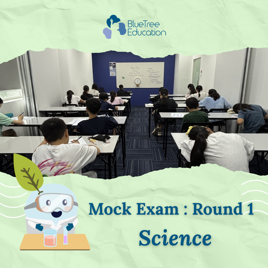 Product image for Mock Exam 2026 - Round 1 : Science