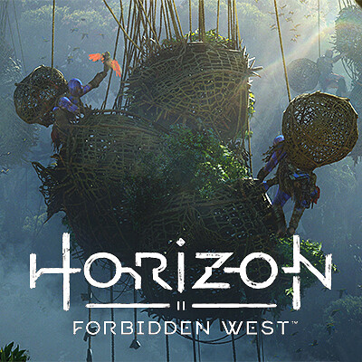 horizon bird catchers