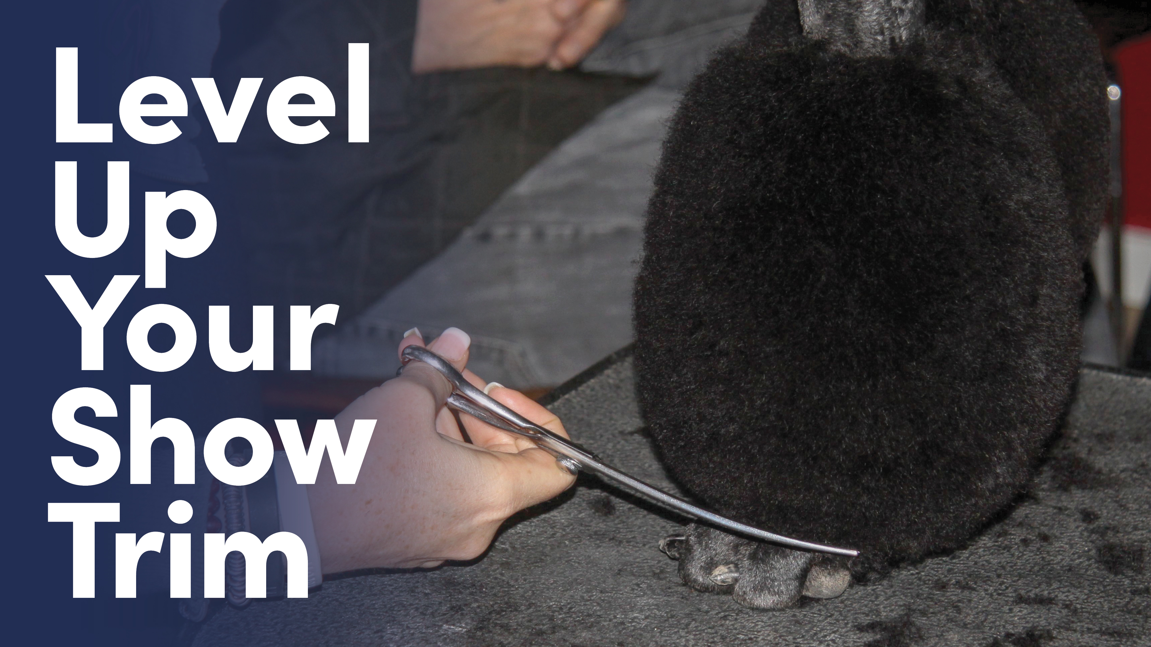 Product image for Level Up Your Show Trim