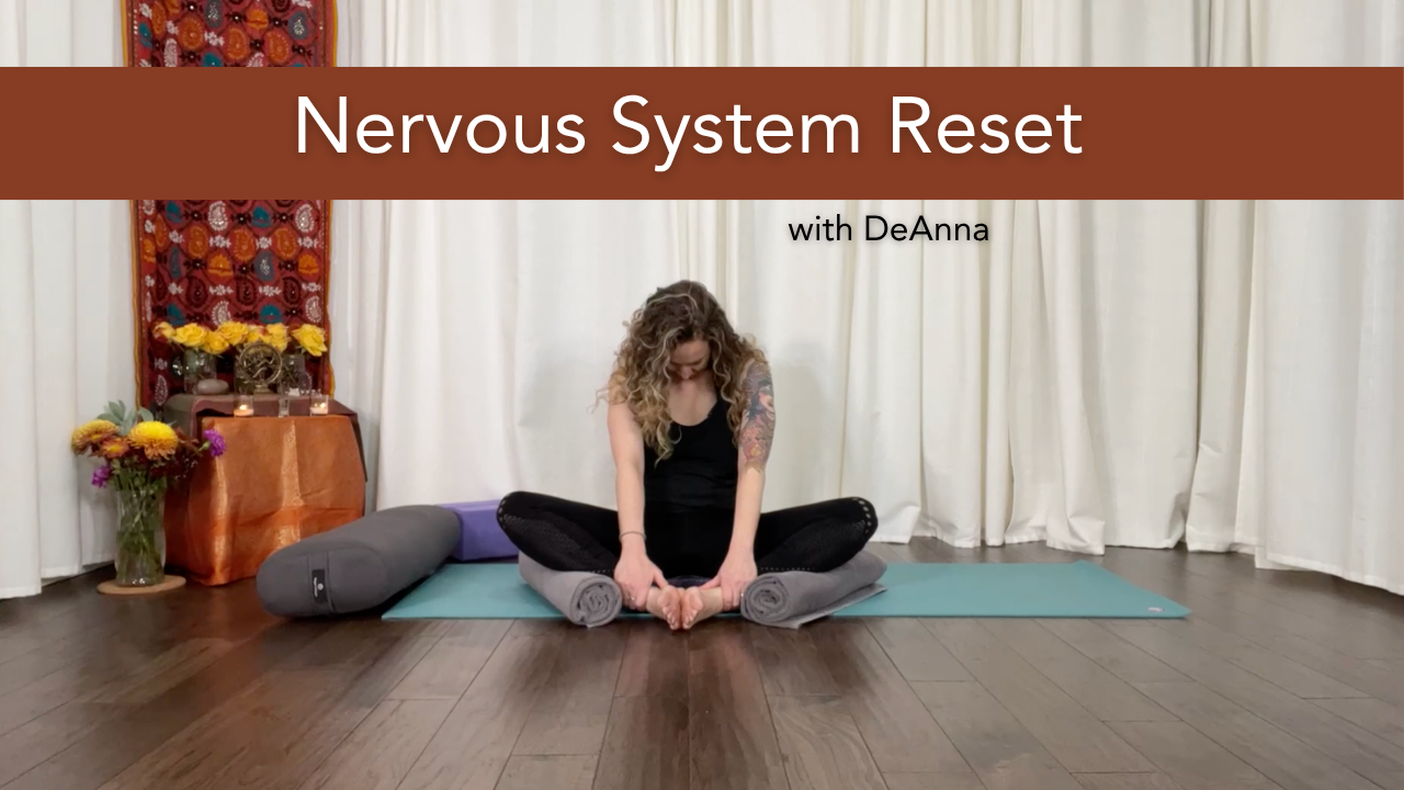 Product image for Nervous System Reset
