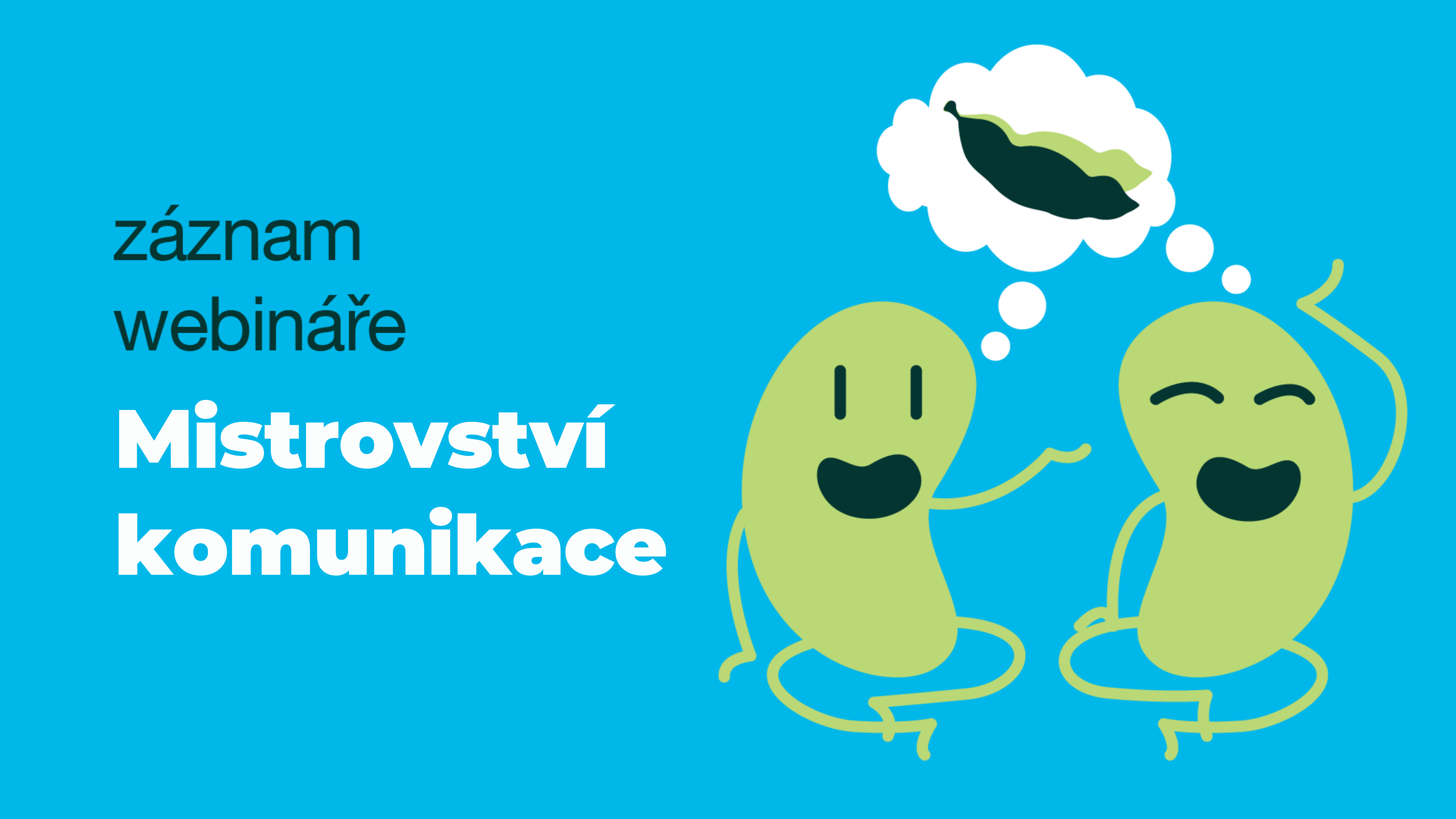 Product image for MISTROVSTVÍ KOMUNIKACE: Jak mluvit tak, aby vám lidé skutečně rozuměli – ve vztazích i práci?