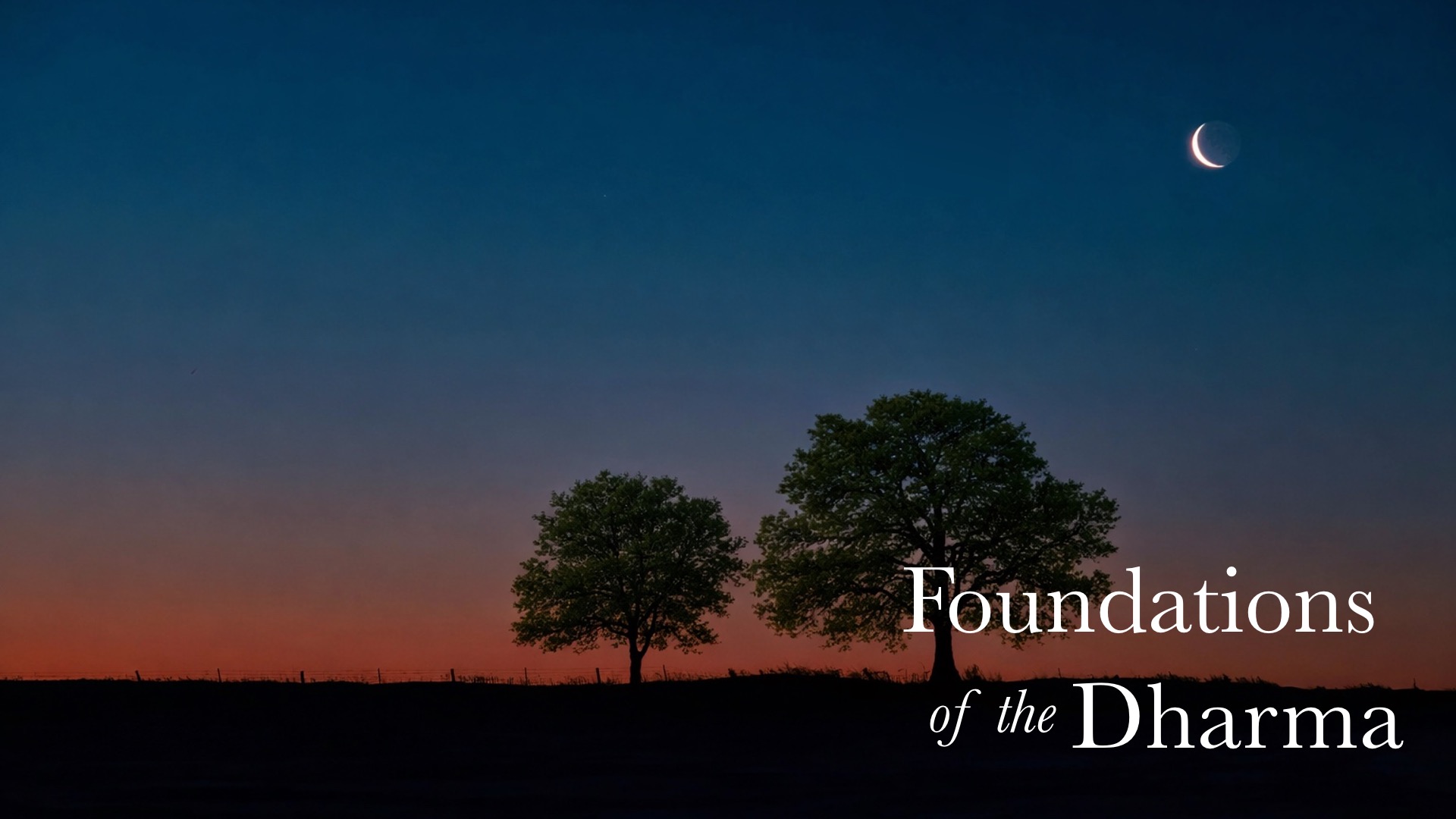Product image for Foundations of The Dharma