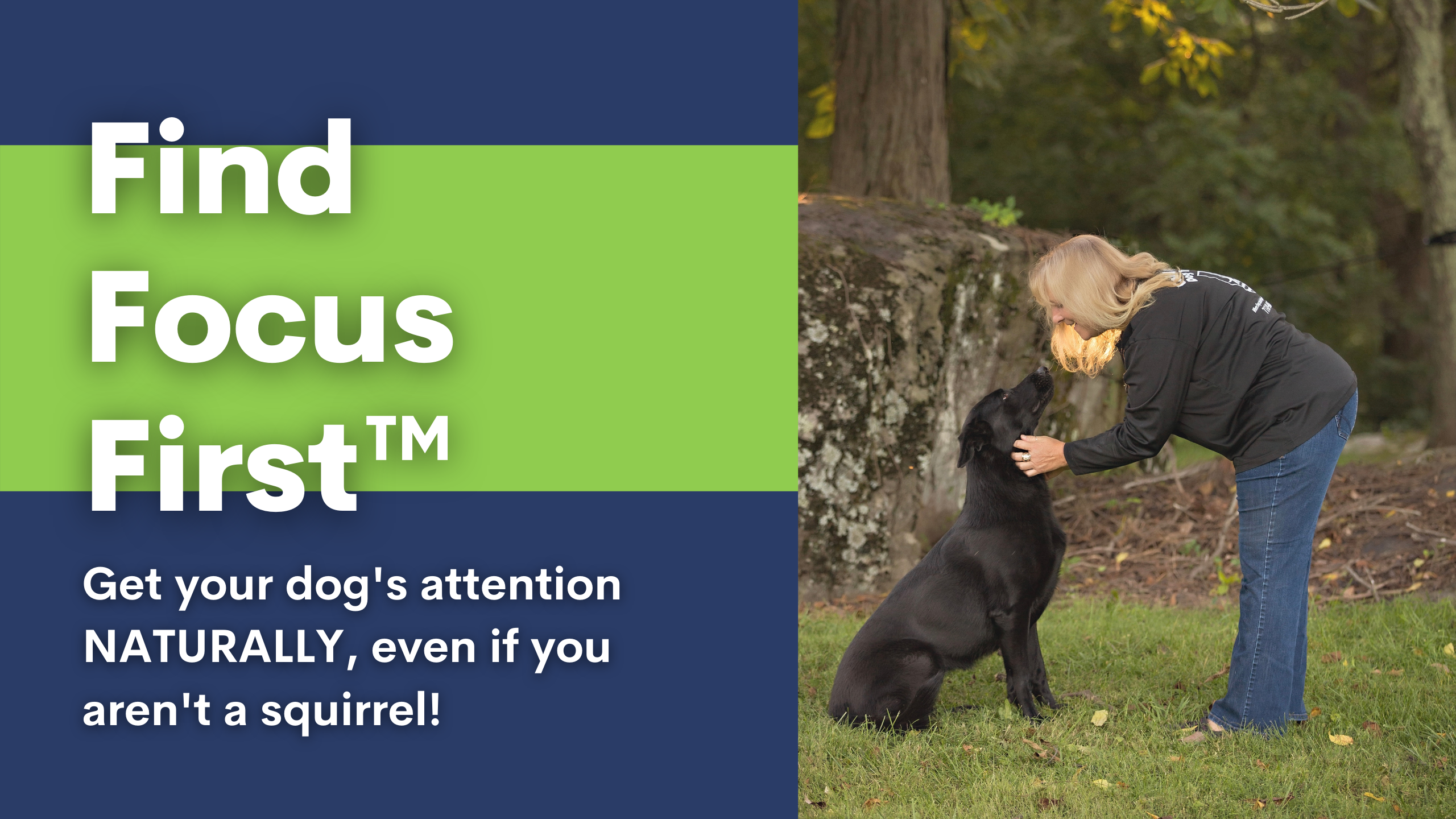 Find Focus First | Virtually Cold Creek Dog Training