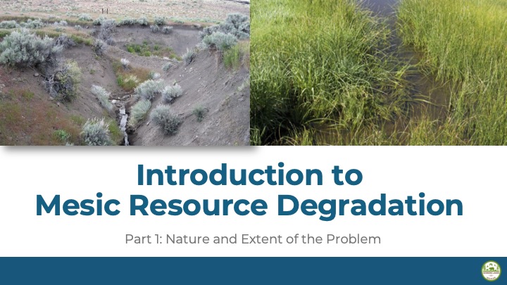Product image for WLFW Introduction to Mesic Resource Degradation