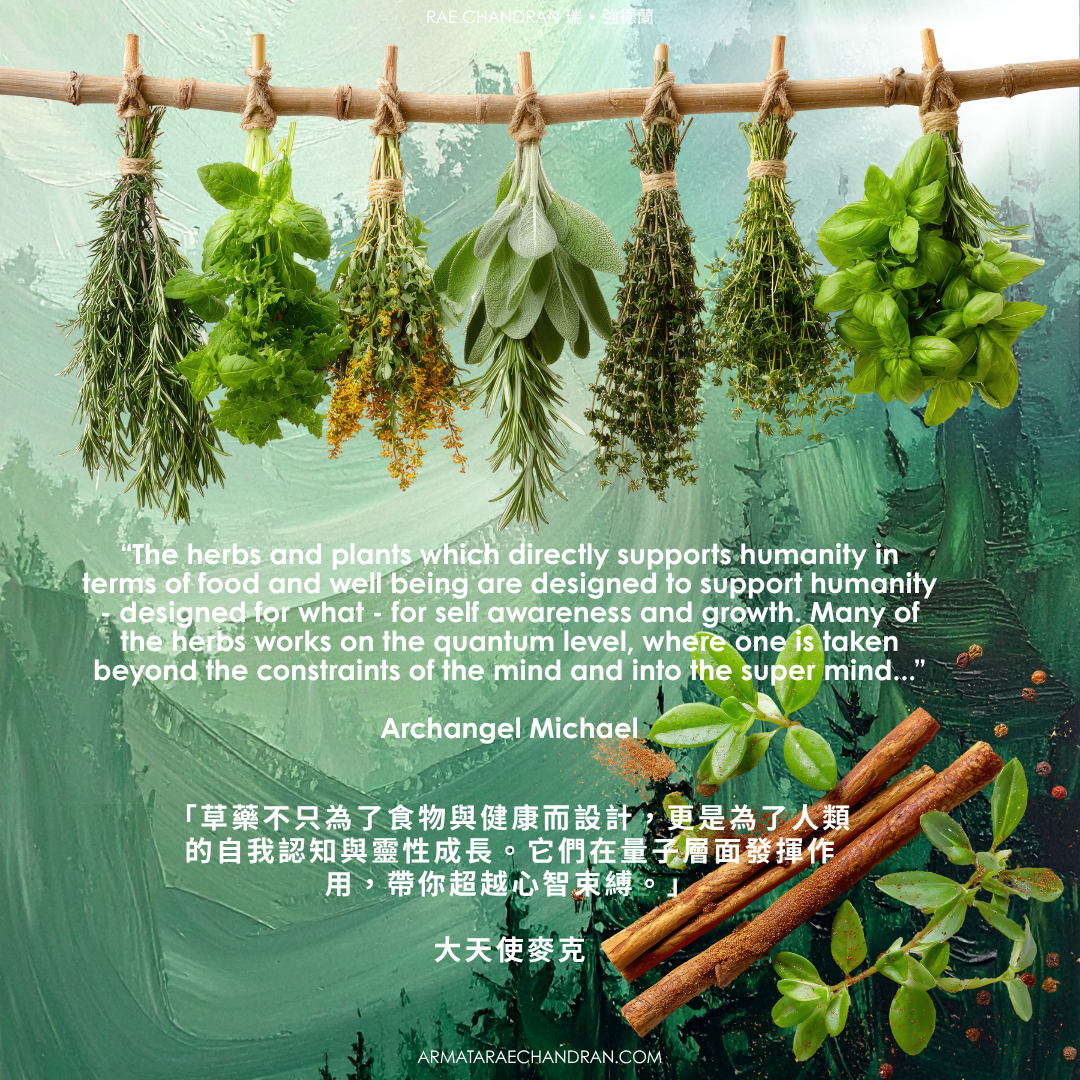 Herb, Healing, Star Consciousness, 星際意識, DNA, ARMATA Rae Chandran, Rae, 阿爾瑪他, 瑞, 強德蘭新年,傳訊,,課程, New Year Eve, Channeling, surrender, 臣服, Rae Chandran, 瑞強德蘭