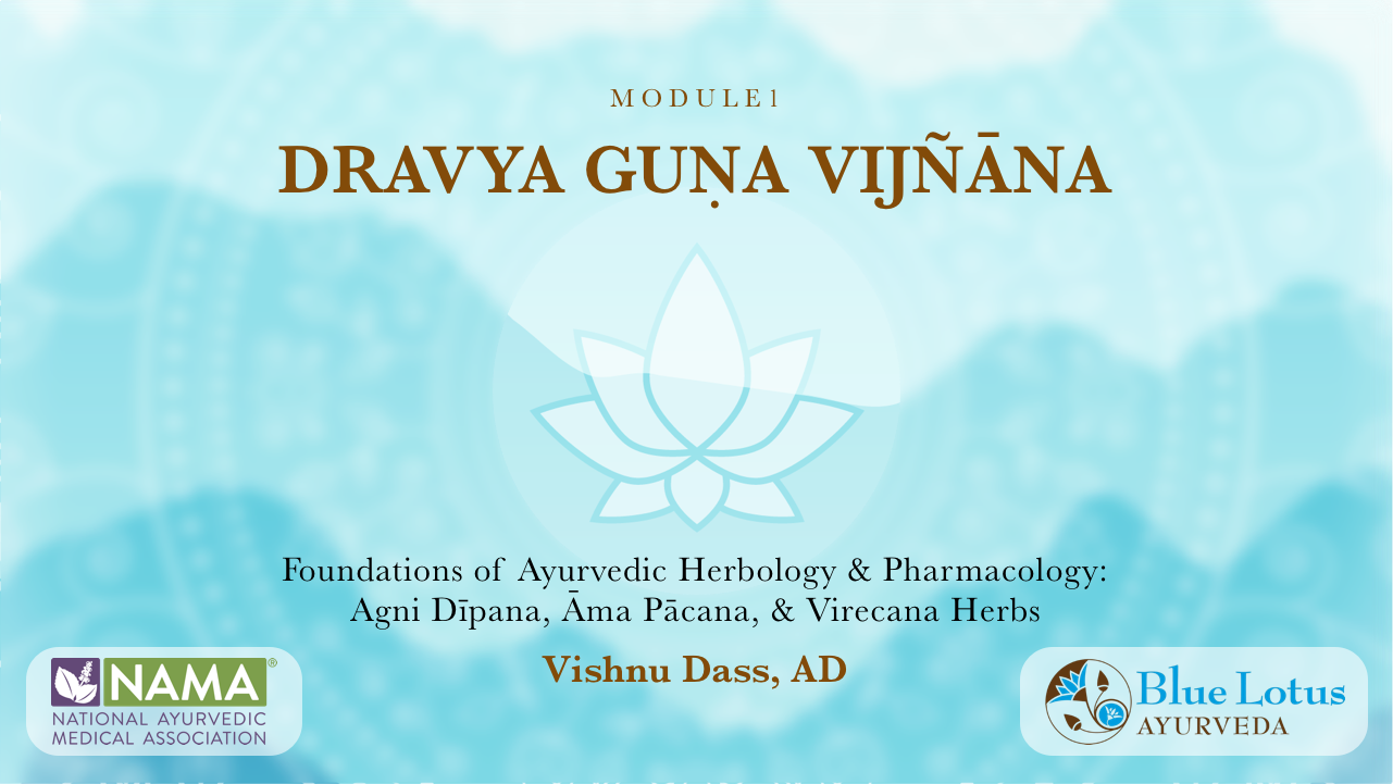 Product image for Dravya Guna Vijñāna: Foundations of Āyurvedic Herbology & Pharmacology, Module 1 (25 credits)