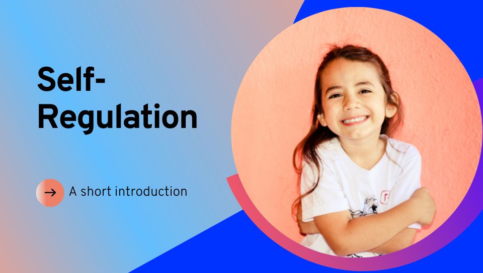 Product image for Understanding Self-Regulation in the Classroom