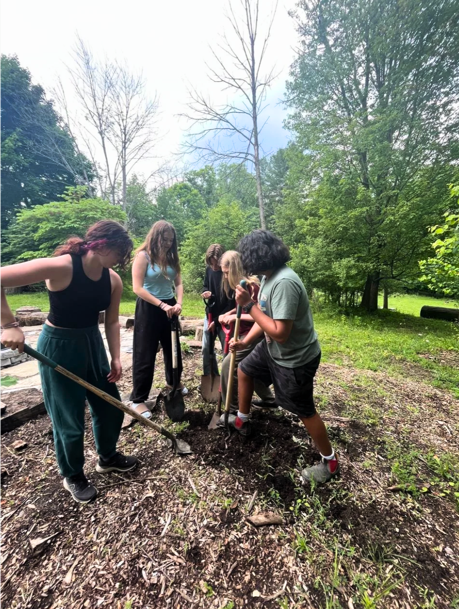 Adolescents digging and planting together outdoors