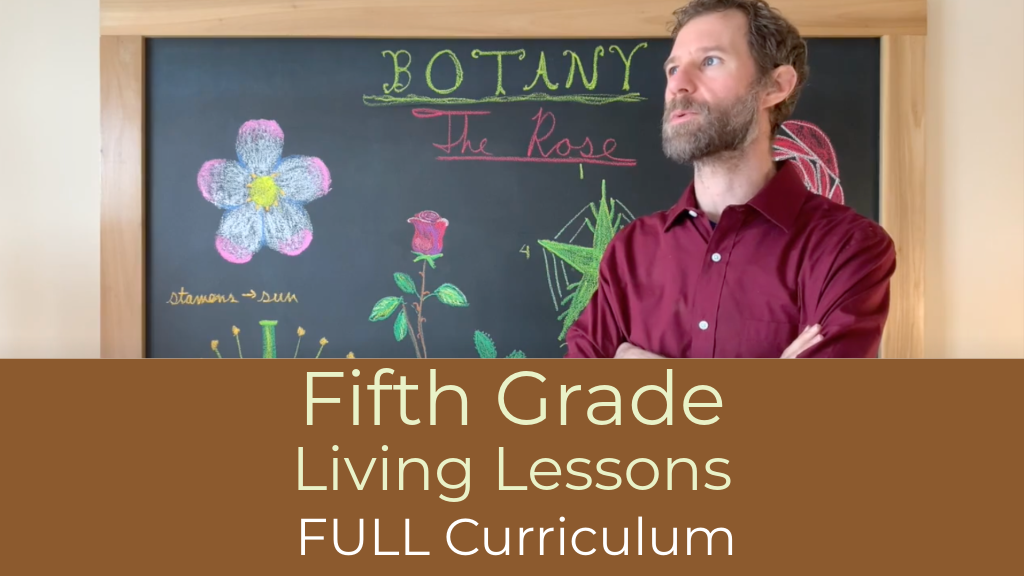 Product image for G5: Fifth Grade Living Lessons FULL CURRICULUM