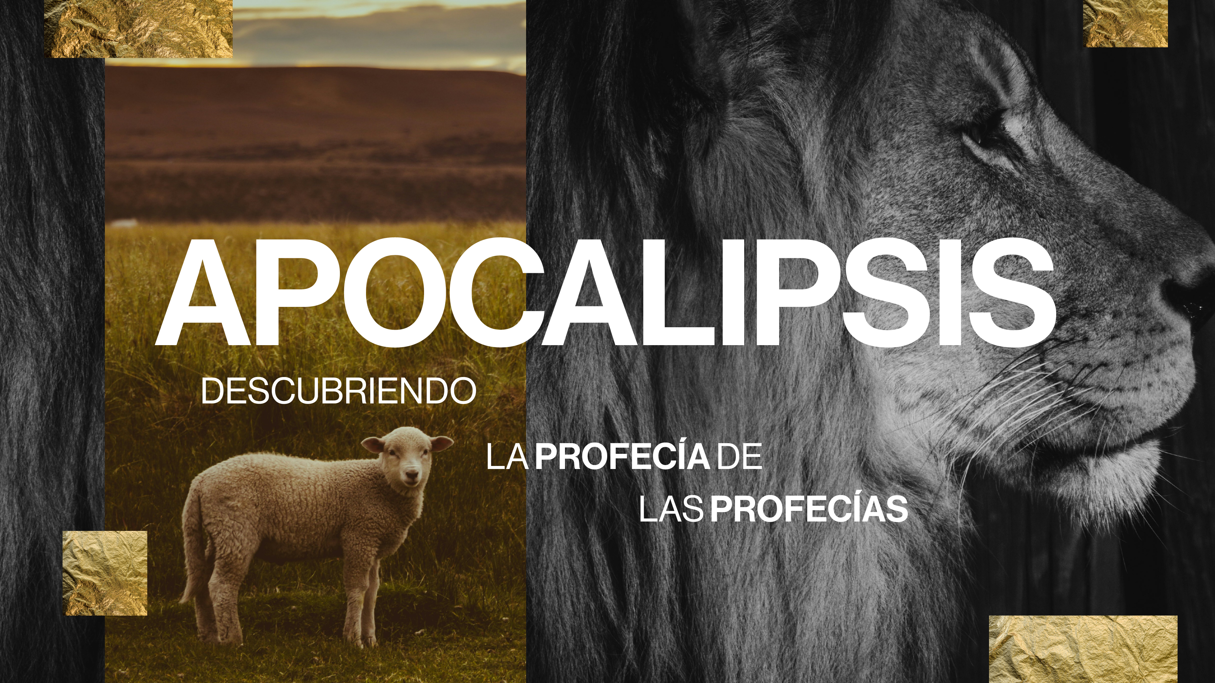 Product image for APOCALIPSIS 