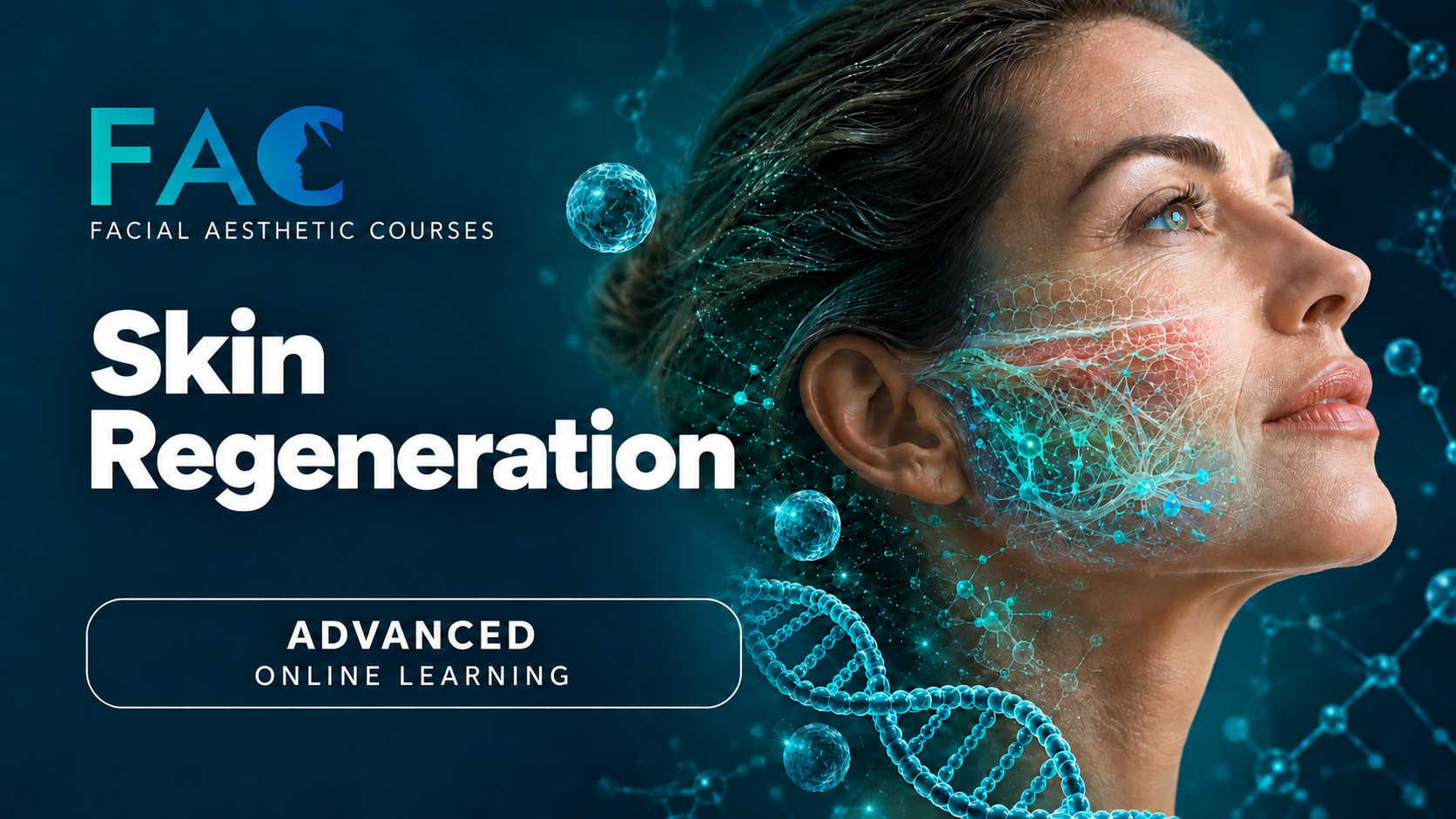 Skin Regeneration Online