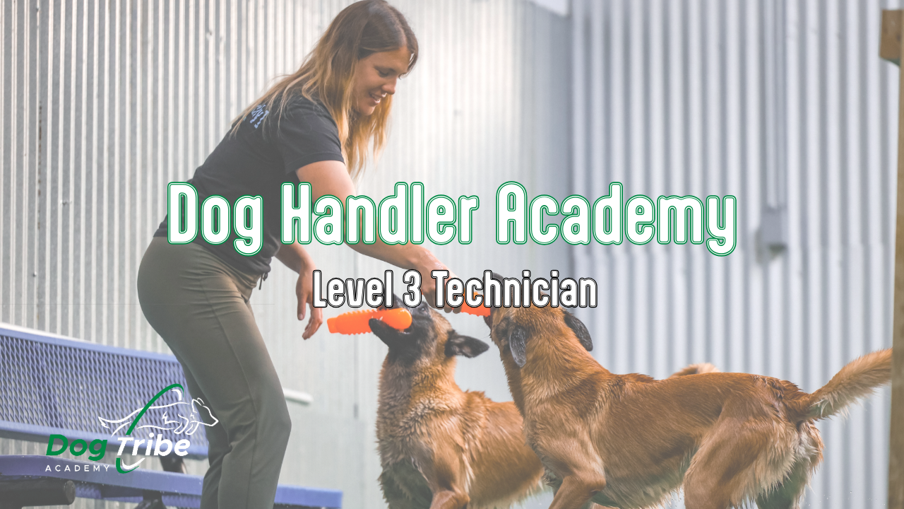 Product image for Dog Handler Academy - Level 3 Technician