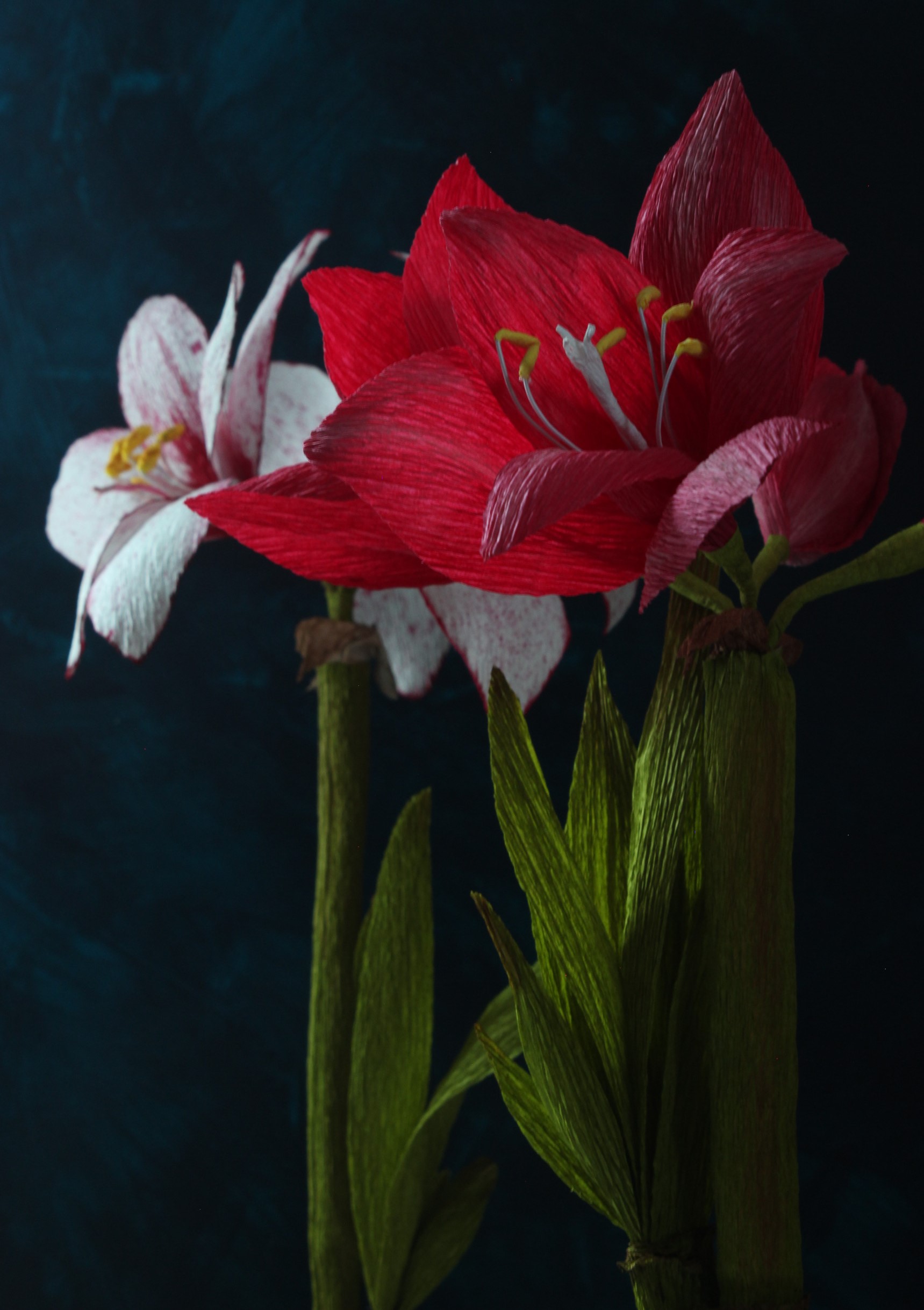 Product image for Paper Potted Amaryllis