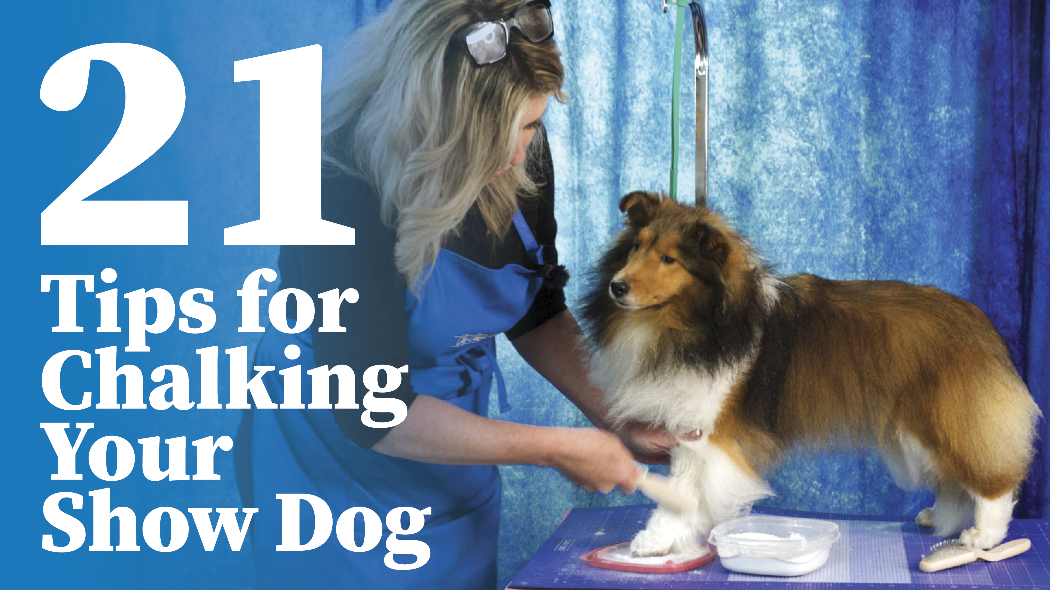 Product image for 21 Tips for Chalking Your Show Dog