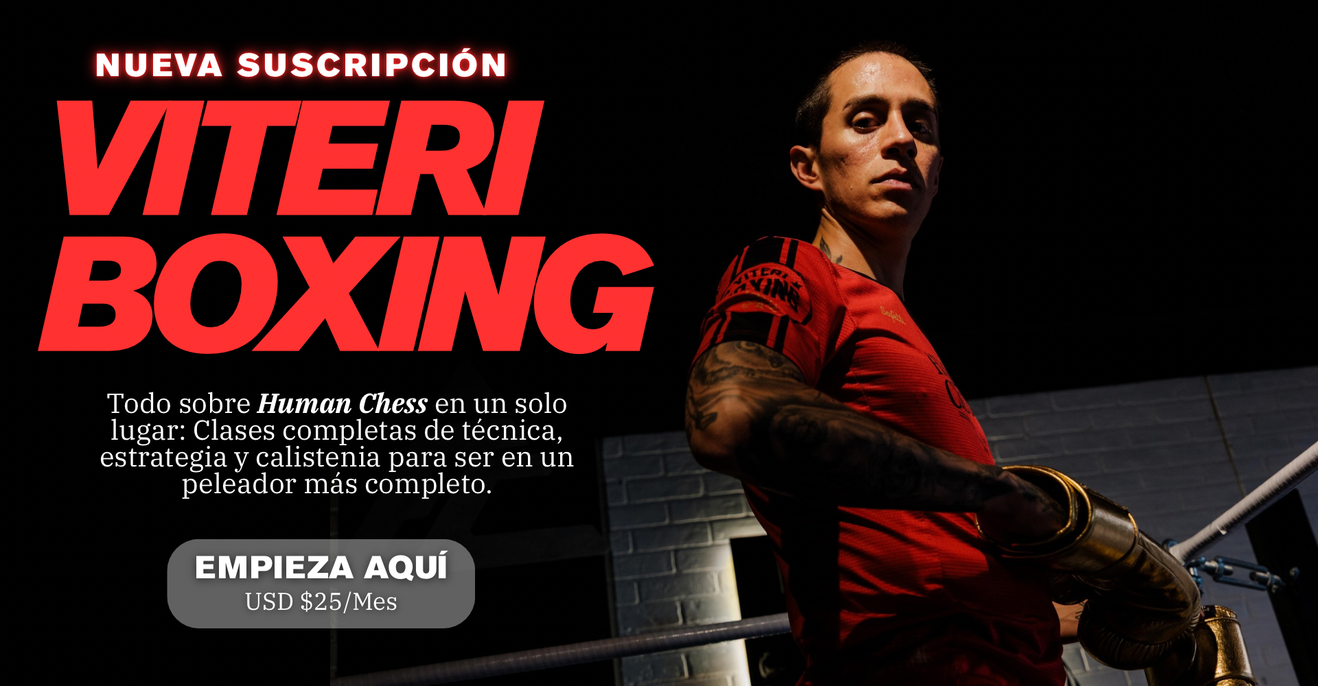 Viteri Boxing Suscripción