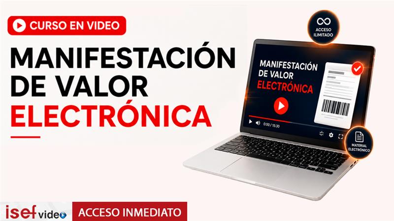Imagen de producto para MANIFESTACIÓN DE VALOR ELECTRÓNICA